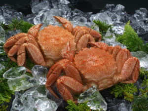 ボイル冷凍毛蟹　8尾/4kgサイズ
